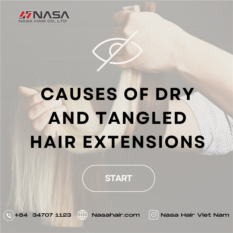 Why is my hair so dry and frizzy and how to fix it?