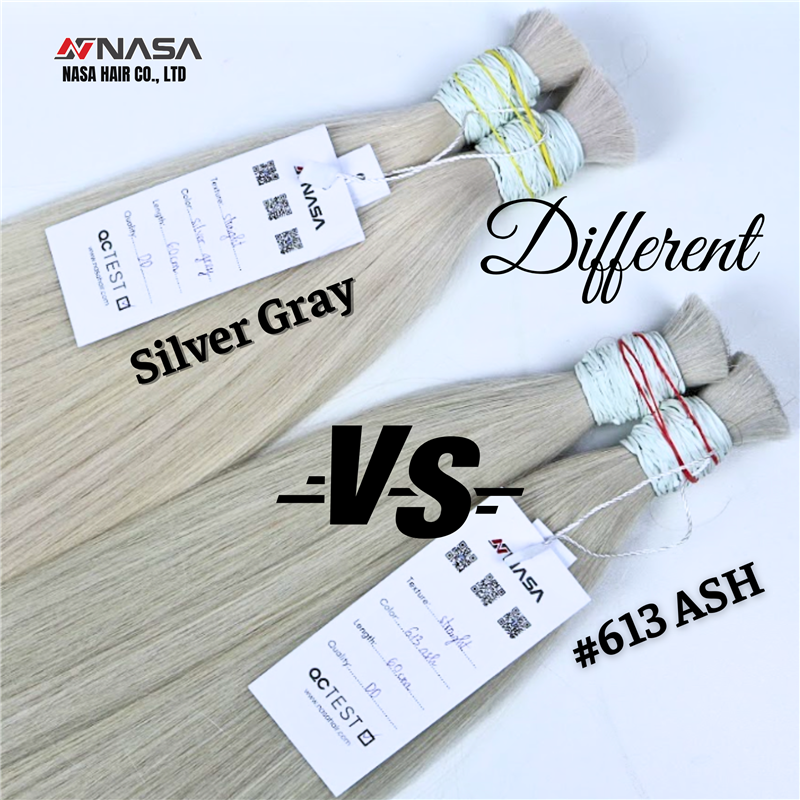 Comparison of Two Trendy Hair Colors: Silver Gray and 613 Ash
