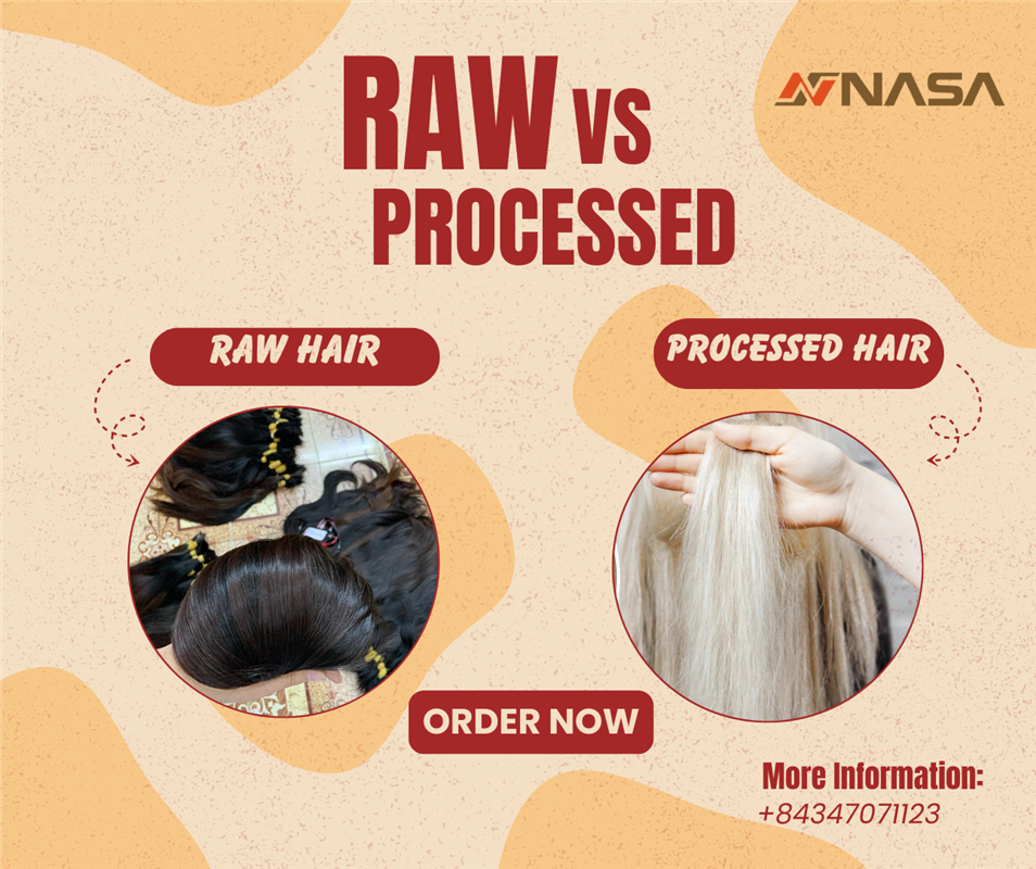 Raw Hair vs. Processed Hair: Which One Should You Choose?