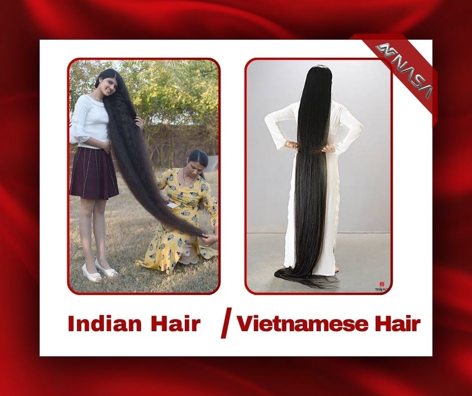 Indian Hair vs Vietnamese Hair: Which Hair Type Is the Better Investment for Your Business?